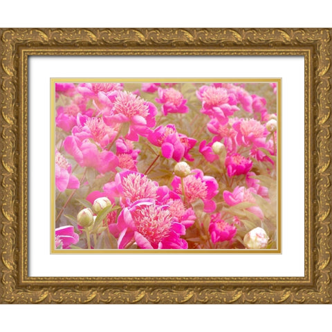 Pinks Gold Ornate Wood Framed Art Print with Double Matting by Frates, Dennis