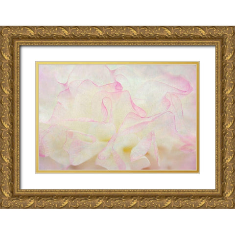 Blush Gold Ornate Wood Framed Art Print with Double Matting by Frates, Dennis