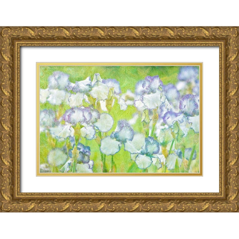 Lime Floral Gold Ornate Wood Framed Art Print with Double Matting by Frates, Dennis