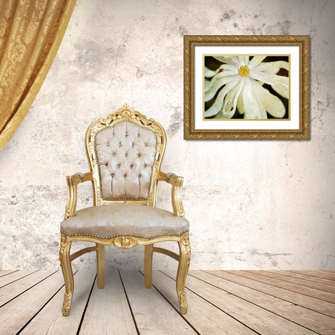 White Flower Gold Ornate Wood Framed Art Print with Double Matting by Frates, Dennis