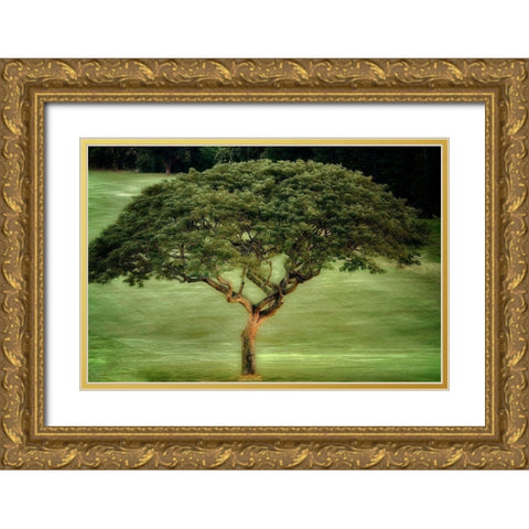 Single Tree Gold Ornate Wood Framed Art Print with Double Matting by Frates, Dennis