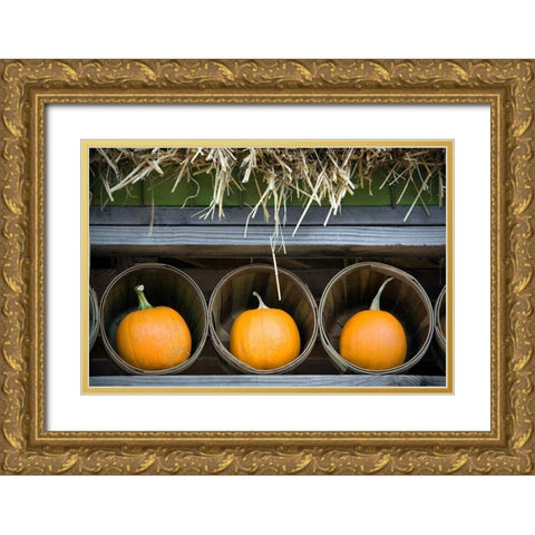 Pumpkins Gold Ornate Wood Framed Art Print with Double Matting by Frates, Dennis
