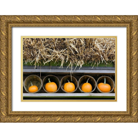 More Pumpkins Gold Ornate Wood Framed Art Print with Double Matting by Frates, Dennis
