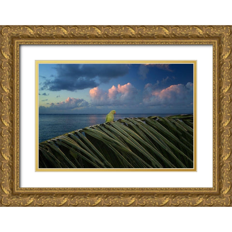 Paulie Gold Ornate Wood Framed Art Print with Double Matting by Frates, Dennis