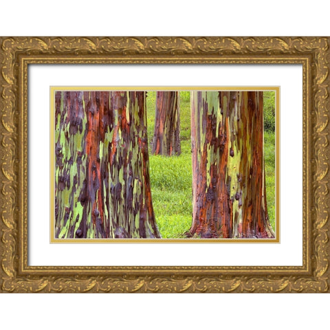 Trunk Club Gold Ornate Wood Framed Art Print with Double Matting by Frates, Dennis