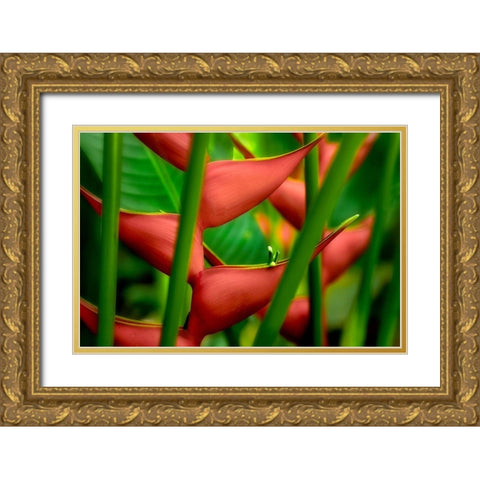 Floral Details Gold Ornate Wood Framed Art Print with Double Matting by Frates, Dennis