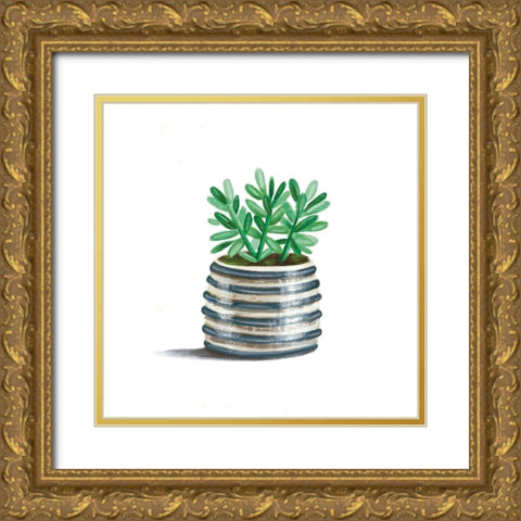 Striped Succulent Gold Ornate Wood Framed Art Print with Double Matting by Tyndall, Elizabeth
