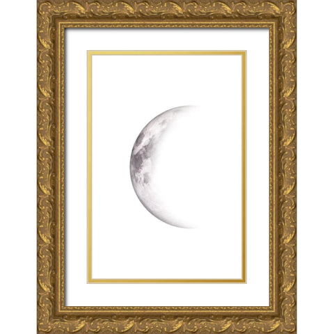 Moon Phases Gold Ornate Wood Framed Art Print with Double Matting by JJ Design House