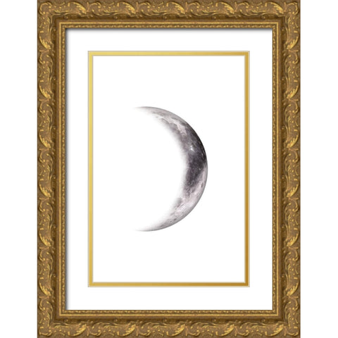Moon Phases V Gold Ornate Wood Framed Art Print with Double Matting by JJ Design House