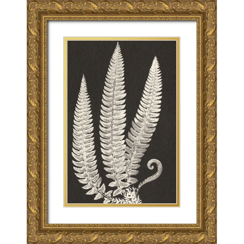 Vintage Ferns Gold Ornate Wood Framed Art Print with Double Matting by JJ Design