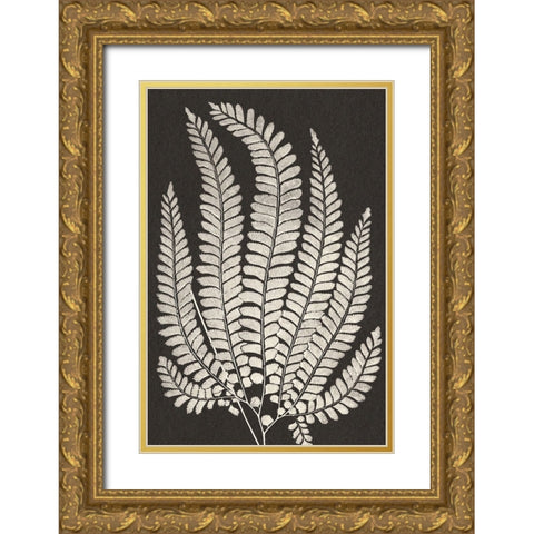 Vintage Ferns II Gold Ornate Wood Framed Art Print with Double Matting by JJ Design