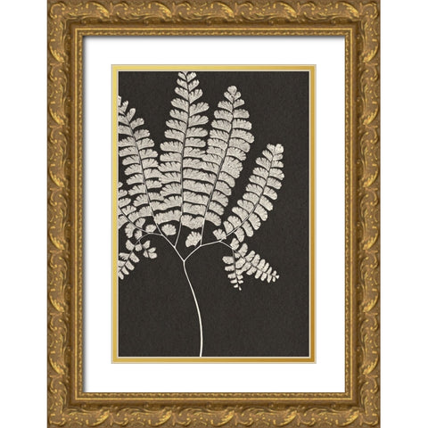 Vintage Ferns IV Gold Ornate Wood Framed Art Print with Double Matting by JJ Design