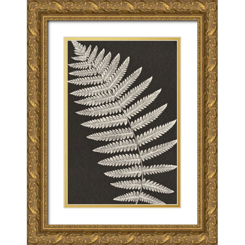 Vintage Ferns VI Gold Ornate Wood Framed Art Print with Double Matting by JJ Design