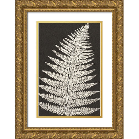 Vintage Ferns VII Gold Ornate Wood Framed Art Print with Double Matting by JJ Design