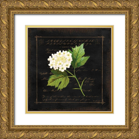Floral II Gold Ornate Wood Framed Art Print with Double Matting by Pugh, Jennifer