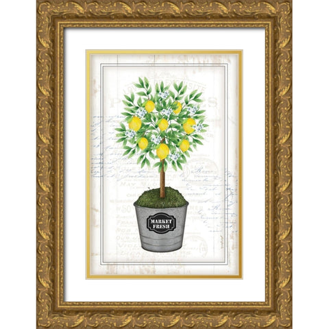 Lemon Topiary Gold Ornate Wood Framed Art Print with Double Matting by Pugh, Jennifer