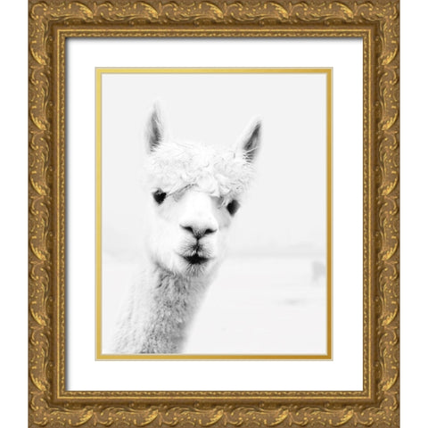 Llama Gold Ornate Wood Framed Art Print with Double Matting by Pugh, Jennifer