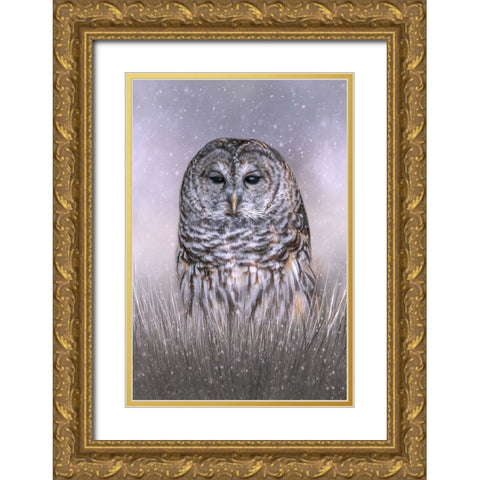 Winters Twilight Gold Ornate Wood Framed Art Print with Double Matting by Parker, Kelley