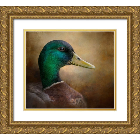Magnificent Mallard Gold Ornate Wood Framed Art Print with Double Matting by Parker, Kelley