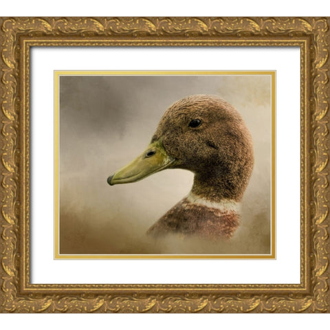 Ring Around the Collar Gold Ornate Wood Framed Art Print with Double Matting by Parker, Kelley