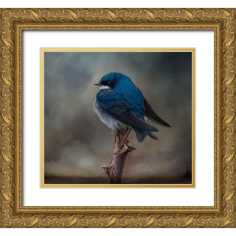 Big Blue Boy Gold Ornate Wood Framed Art Print with Double Matting by Parker, Kelley