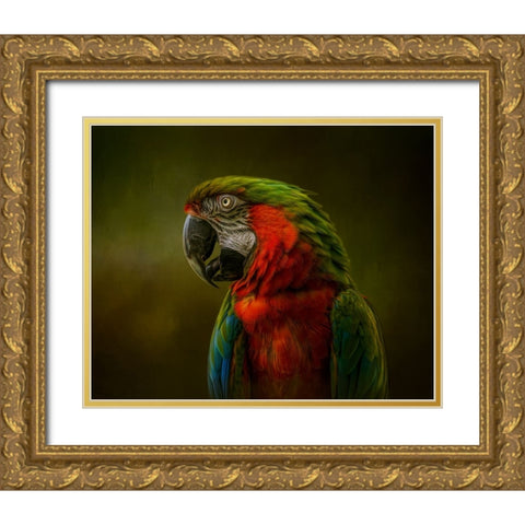 Harlequin Beauty Gold Ornate Wood Framed Art Print with Double Matting by Parker, Kelley