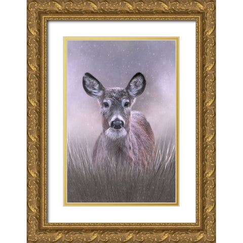 Snow Queen Gold Ornate Wood Framed Art Print with Double Matting by Parker, Kelley