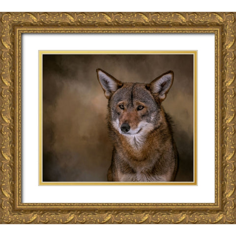 Red Bandit Gold Ornate Wood Framed Art Print with Double Matting by Parker, Kelley