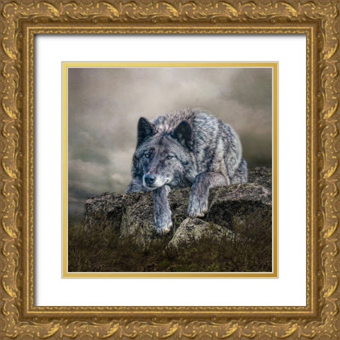 Rocky Perch Gold Ornate Wood Framed Art Print with Double Matting by Parker, Kelley