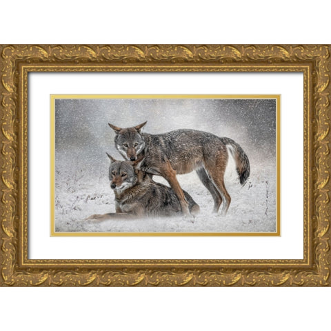 Shelter from the Storm Gold Ornate Wood Framed Art Print with Double Matting by Parker, Kelley