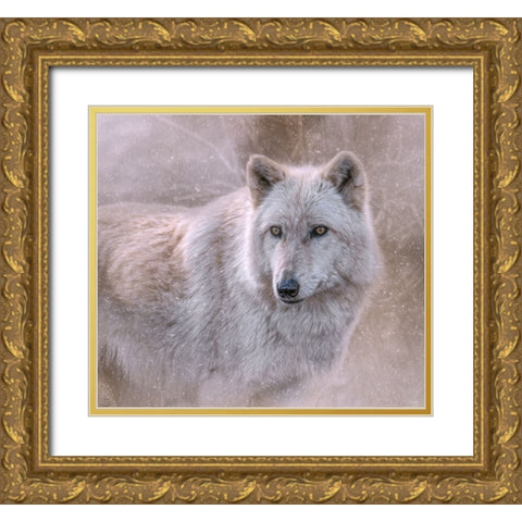 Spirit of the North Gold Ornate Wood Framed Art Print with Double Matting by Parker, Kelley