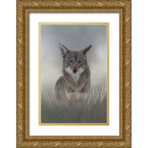 Wolf Among Us Gold Ornate Wood Framed Art Print with Double Matting by Parker, Kelley