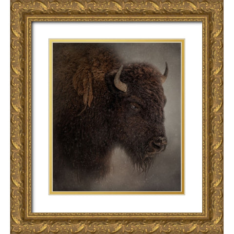 Deep Freeze Gold Ornate Wood Framed Art Print with Double Matting by Parker, Kelley
