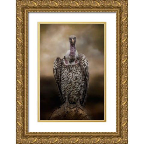 Look Into My Eyes Gold Ornate Wood Framed Art Print with Double Matting by Parker, Kelley