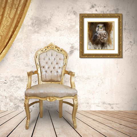 Falcon Spirit Gold Ornate Wood Framed Art Print with Double Matting by Parker, Kelley