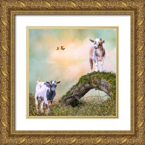 Getting a Better View Gold Ornate Wood Framed Art Print with Double Matting by Parker, Kelley