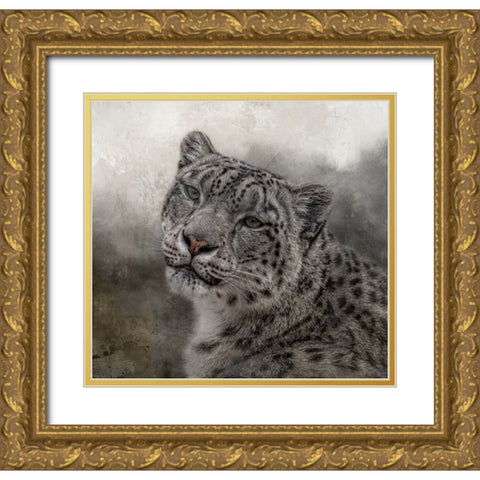 Face of the Wild Gold Ornate Wood Framed Art Print with Double Matting by Parker, Kelley