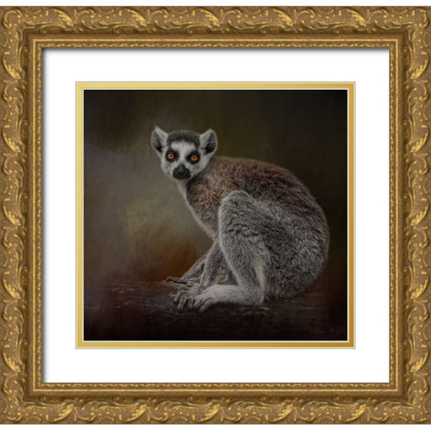 Amber Eyes Gold Ornate Wood Framed Art Print with Double Matting by Parker, Kelley