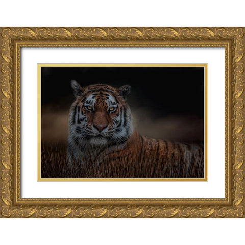 Alone in the Night Gold Ornate Wood Framed Art Print with Double Matting by Parker, Kelley