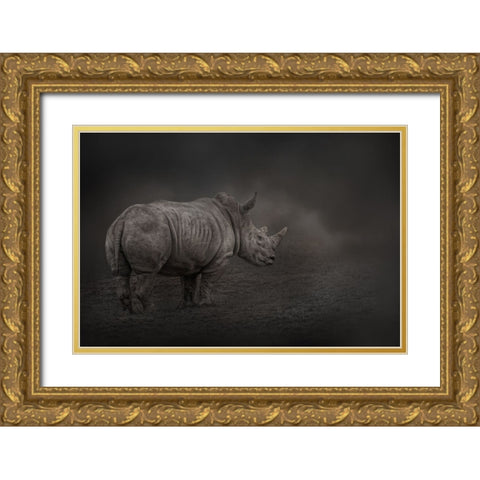 Rhino Land Gold Ornate Wood Framed Art Print with Double Matting by Parker, Kelley