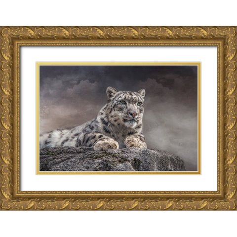 Spotted Beauty Gold Ornate Wood Framed Art Print with Double Matting by Parker, Kelley