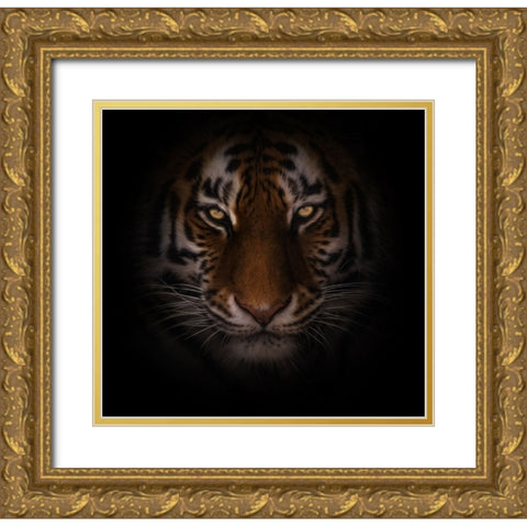Eyes of Warning Gold Ornate Wood Framed Art Print with Double Matting by Parker, Kelley