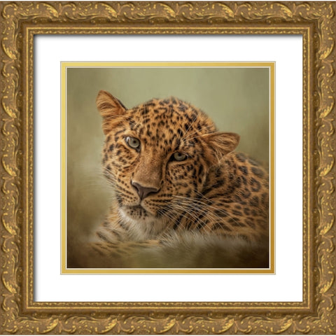 Green Eyes Gold Ornate Wood Framed Art Print with Double Matting by Parker, Kelley