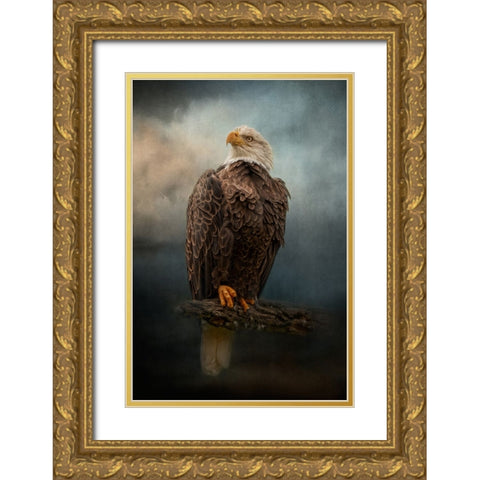 Master of the Sky Gold Ornate Wood Framed Art Print with Double Matting by Parker, Kelley