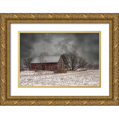 Weathering Winter Gold Ornate Wood Framed Art Print with Double Matting by Parker, Kelley