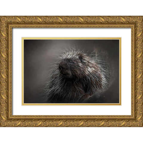 Prickly Gold Ornate Wood Framed Art Print with Double Matting by Parker, Kelley