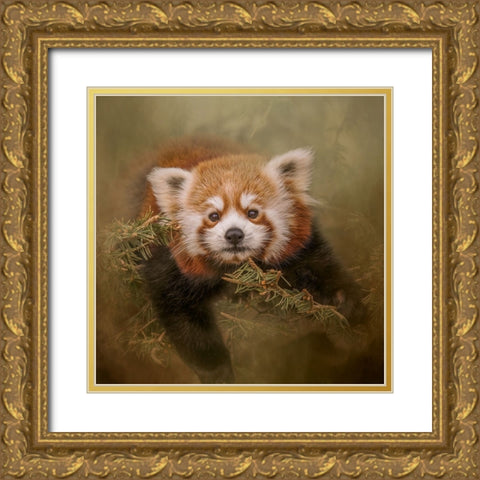 Hanging Out Gold Ornate Wood Framed Art Print with Double Matting by Parker, Kelley