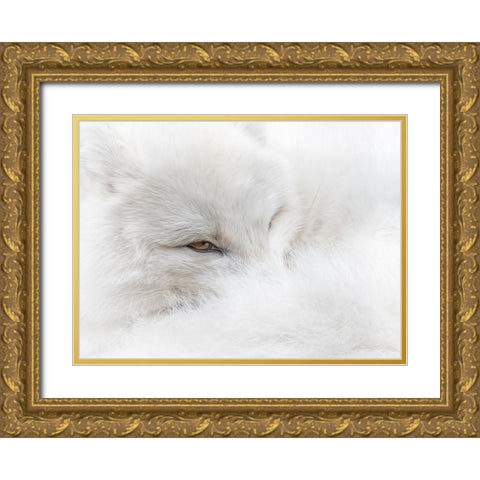 White on White Gold Ornate Wood Framed Art Print with Double Matting by Parker, Kelley