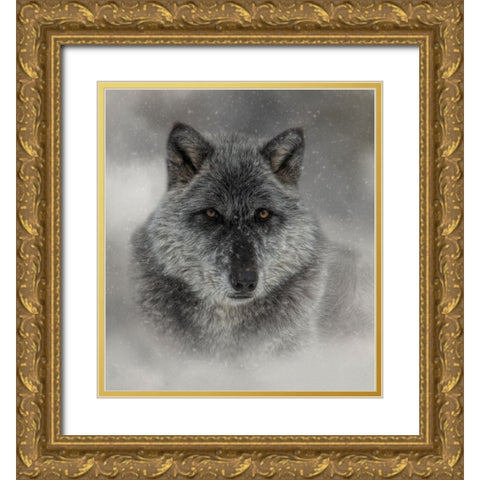 Winter Wolf Gold Ornate Wood Framed Art Print with Double Matting by Parker, Kelley