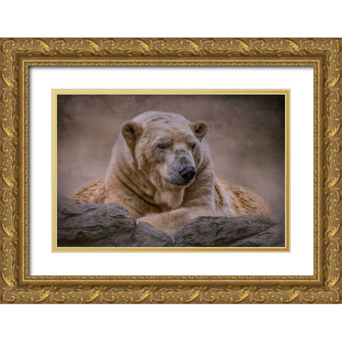 A Bears Life Gold Ornate Wood Framed Art Print with Double Matting by Parker, Kelley